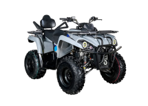 Квадроцикл AVANTIS Forester Long 200 Premium