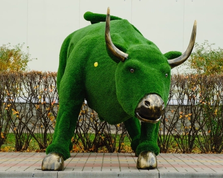 Топиари бык Майкл Брон - газон Eco, фото 3