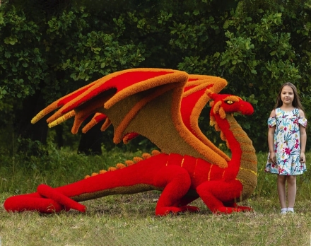 Топиари Дракон - газон Eco, фото 3