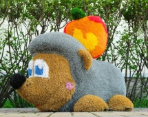 Топиари Ёжик с яблочком - газон Есо