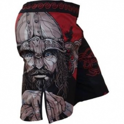 Шорты Hardcore Training hctshorts012, фото 1