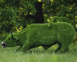 Топиари бык с Уолл-стрит - газон Premium, фото 2