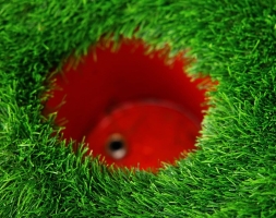 Топиари лебедь Чепелия - газон Eco Green, фото 7