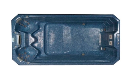 Плавательный спа бассейн Fonteyn Spas Olympic, фото 1