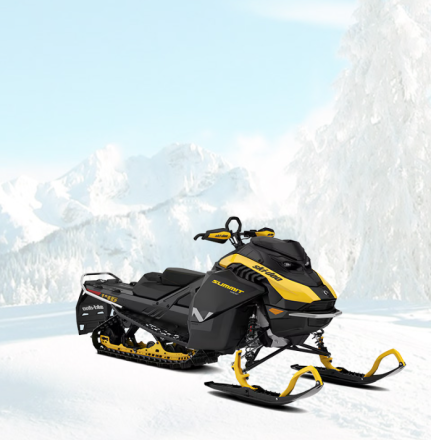 Summit NEO+ 600 EFI 85 HP, фото 1