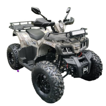 Квадроцикл GRIZLIK T200 LUX, фото 1