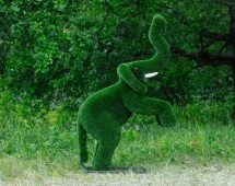 Топиари Слоник на дыбах газон Eco Топиари Слоник на дыбах газон Eco