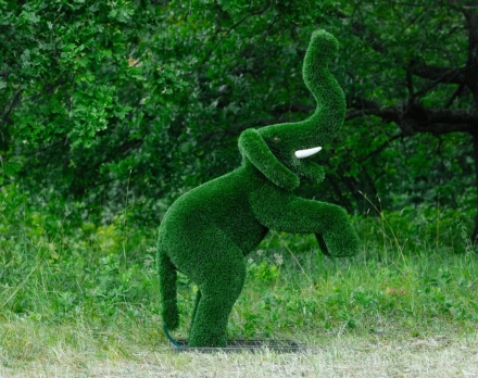 Топиари Слоник на дыбах газон Eco, фото 13