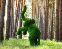 Топиари Слоник на дыбах газон Eco Топиари Слоник на дыбах газон Eco
