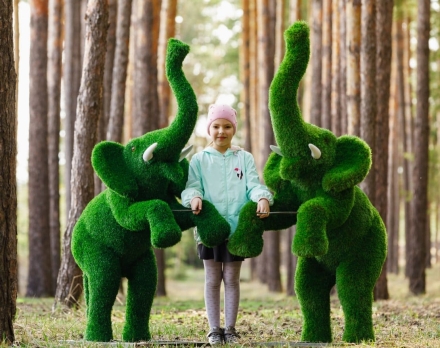 Топиари Слоник на дыбах газон Eco, фото 5