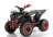 Квадроцикл WELS ATV Thunder 200 Evo X