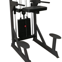 Гравитрон профессиональный BRONZE GYM PARTNER ML-701