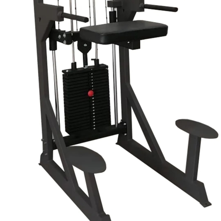 Гравитрон профессиональный BRONZE GYM PARTNER ML-701, фото 4