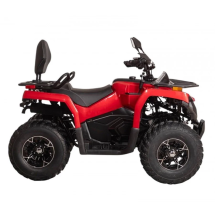 Квадроцикл Bizon YK250 Basic Carb