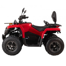 Квадроцикл Bizon YK250 Basic Carb