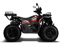 Квадроцикл SHARMAX 280 RX Activator, фото 4 Квадроцикл SHARMAX 280 RX Activator, фото 4