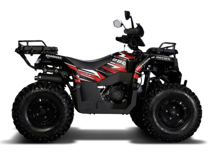 Квадроцикл SHARMAX 280 RX Activator, фото 4