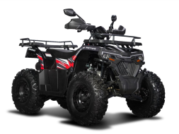 Квадроцикл SHARMAX 280 RX Activator, фото 3 Квадроцикл SHARMAX 280 RX Activator, фото 3