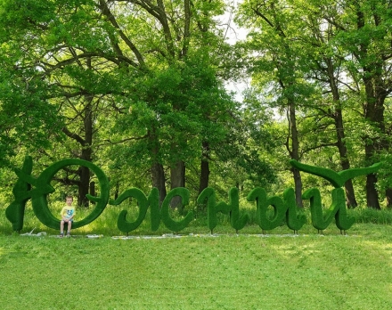 Топиари стела Южный - газон Eco, фото 1