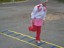 Скоростная лестница "SL Jr. 10" 4м. ФЛА.