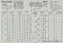 Скоростная лестница "SL Jr. 10" 4м. ФЛА.
