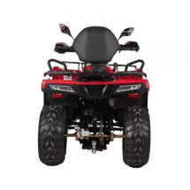 Квадроцикл Bizon YK250 Lux EFI