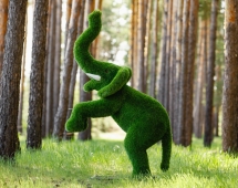 Топиари Слоник на дыбах газон Premium Топиари Слоник на дыбах газон Premium