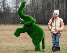 Топиари Слоник на дыбах газон Premium Топиари Слоник на дыбах газон Premium