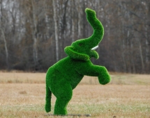 Топиари Слоник на дыбах газон Premium Топиари Слоник на дыбах газон Premium