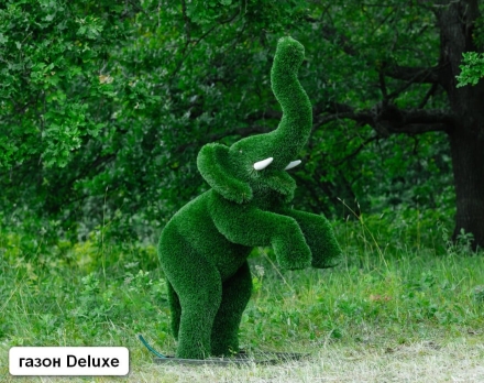 Топиари Слоник на дыбах газон Premium, фото 7