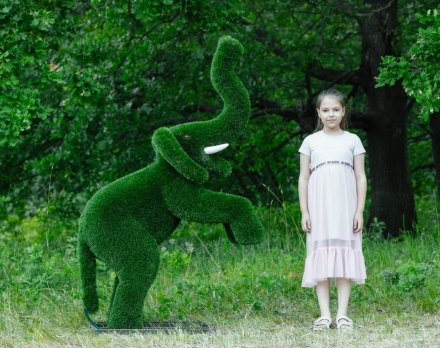 Топиари Слоник на дыбах газон Premium, фото 10