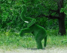 Топиари Слоник на дыбах газон Premium Топиари Слоник на дыбах газон Premium