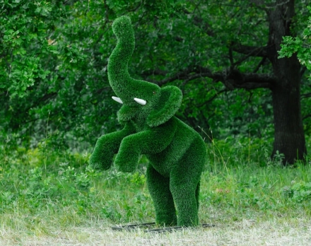 Топиари Слоник на дыбах газон Premium, фото 12