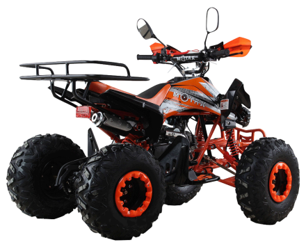 Квадроцикл MOTAX ATV T-Rex Super LUX 125 cc, фото 3