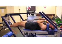 Тренажер для сгибателей и разгибателей бедра