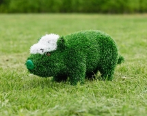 Топиари Поросенок в кепке/с бантиком - газон Eco