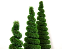 Топиари композиция Ёлки спиральки - газон Deluxe Топиари композиция Ёлки спиральки - газон Deluxe