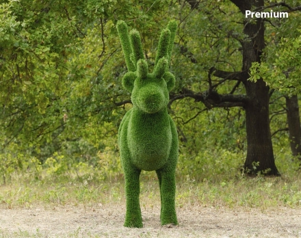 Топиари олень Норди I - газон Premium, фото 4