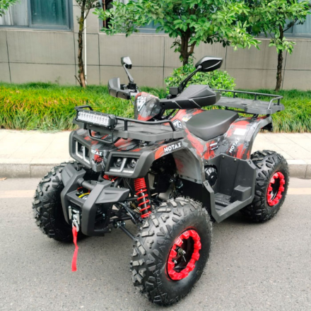 Квадроцикл Motax ATV Grizlik T 200 LUX, фото 2