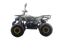 Квадроцикл MOTAX ATV Grizlik Premium 125cc