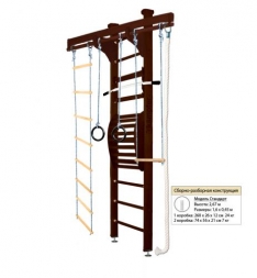 Домашний спортивный комплекс Kampfer Wooden Ladder Maxi Ceiling, фото 11