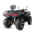 Квадроцикл MOTAX Grizlik 300 cc