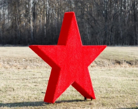 Топиари Звезда - газон Eco, фото 1