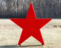 Топиари Звезда - газон Eco