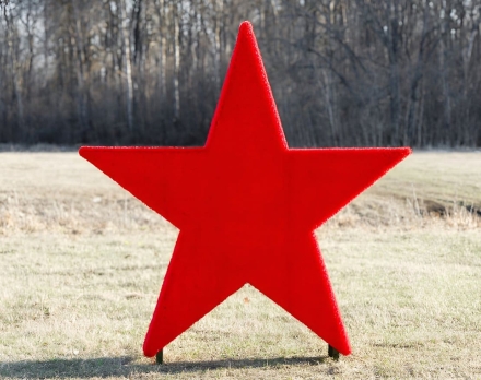 Топиари Звезда - газон Eco, фото 2