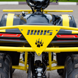Квадроцикл IRBIS ATV 125, фото 10