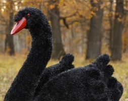 Топиари лебедь черный Блэк - газон Eco, фото 5