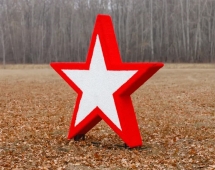 Топиари Звезда 2-х сторонняя - газон Eco