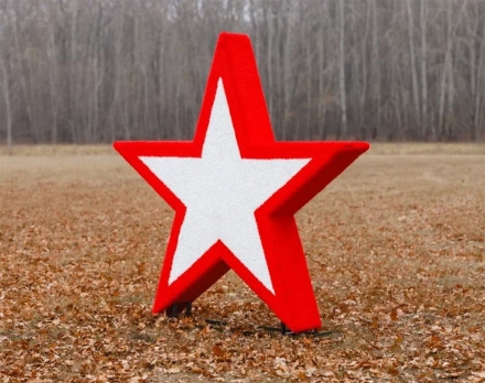 Топиари Звезда 2-х сторонняя - газон Eco, фото 1