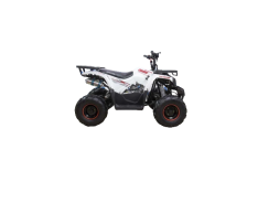 Квадроцикл AVANTIS Hunter 7 New Lux, фото 3